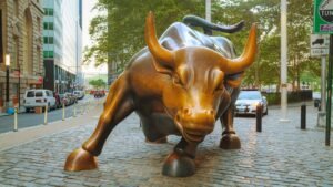 bull market